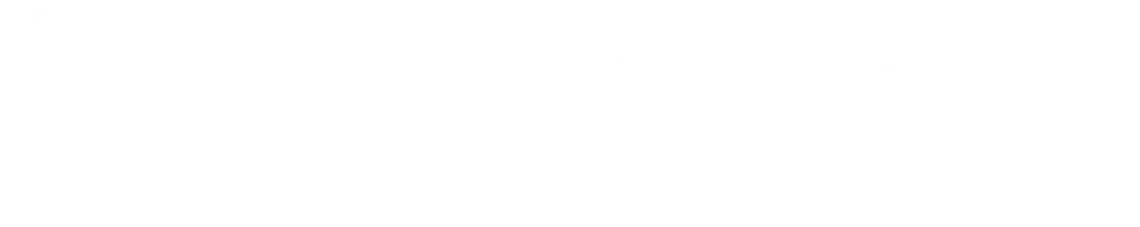 Touchstone Insurance