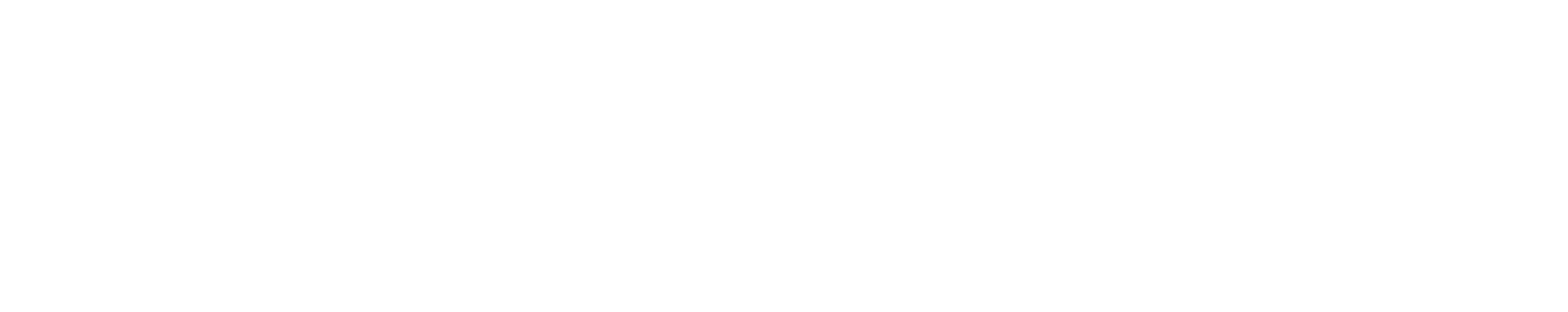 Touchstone Insurance